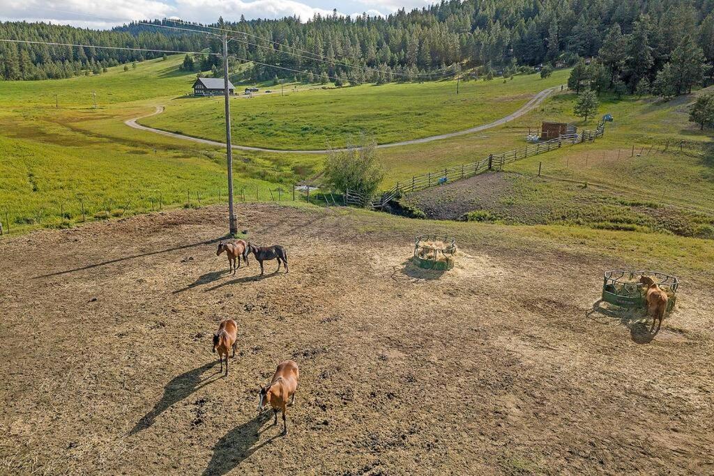 Wilderness Cabin - Eden Valley Oroville Екстериор снимка