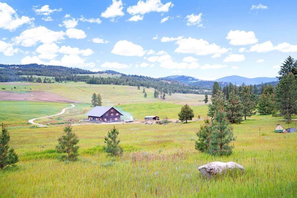 Wilderness Cabin - Eden Valley Oroville Екстериор снимка